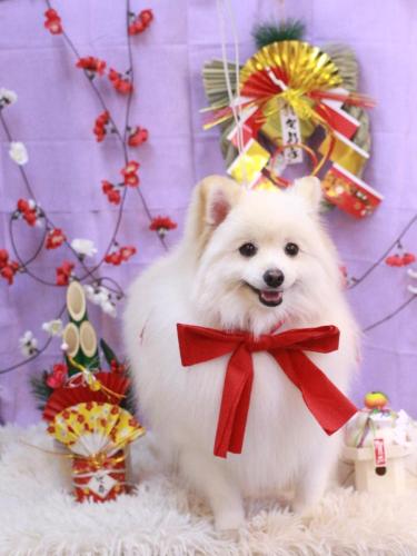 20230122モチくん